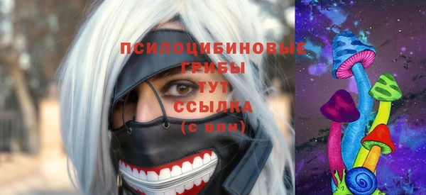 соль ск Сосновый Бор