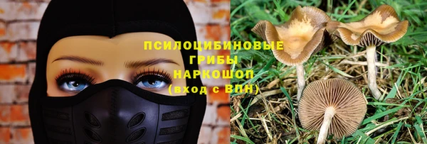 соль ск Сосновый Бор