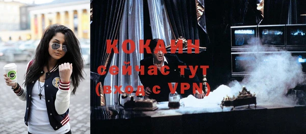 крисы Снежногорск