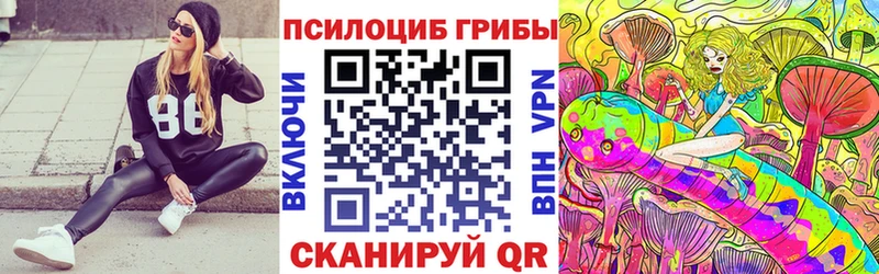 Псилоцибиновые грибы Psilocybe  Купить где  Шимановск 